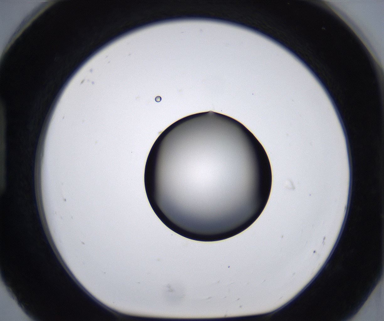 folderID267_plateID2267_batchID10355_wellNum92_profileID1_d1_r157944_ef.jpg