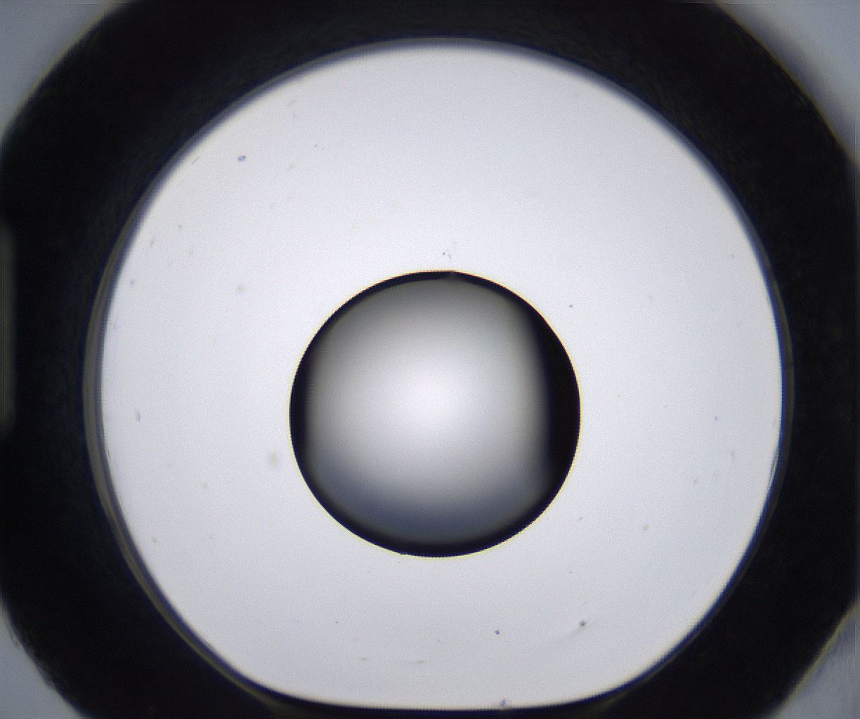 folderID267_plateID2267_batchID10355_wellNum93_profileID1_d1_r157946_ef.jpg