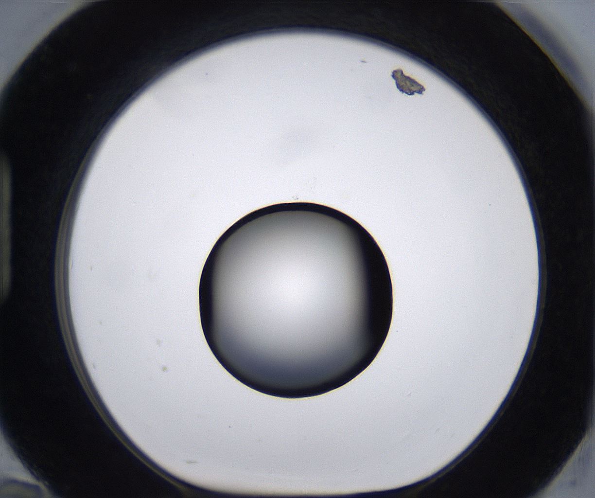 folderID267_plateID2267_batchID10355_wellNum94_profileID1_d1_r157948_ef.jpg
