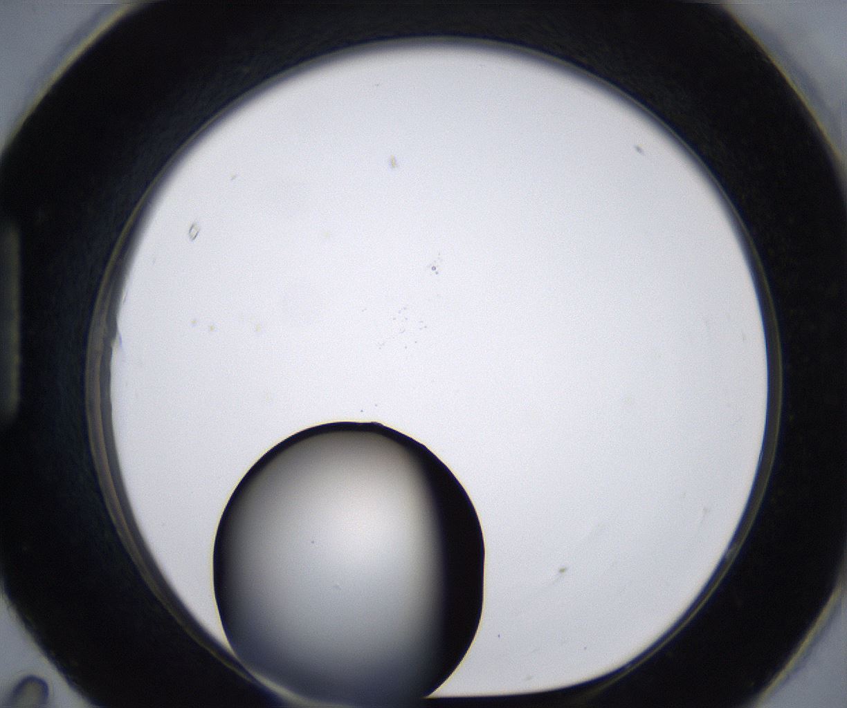 folderID267_plateID2267_batchID10355_wellNum95_profileID1_d1_r157950_ef.jpg