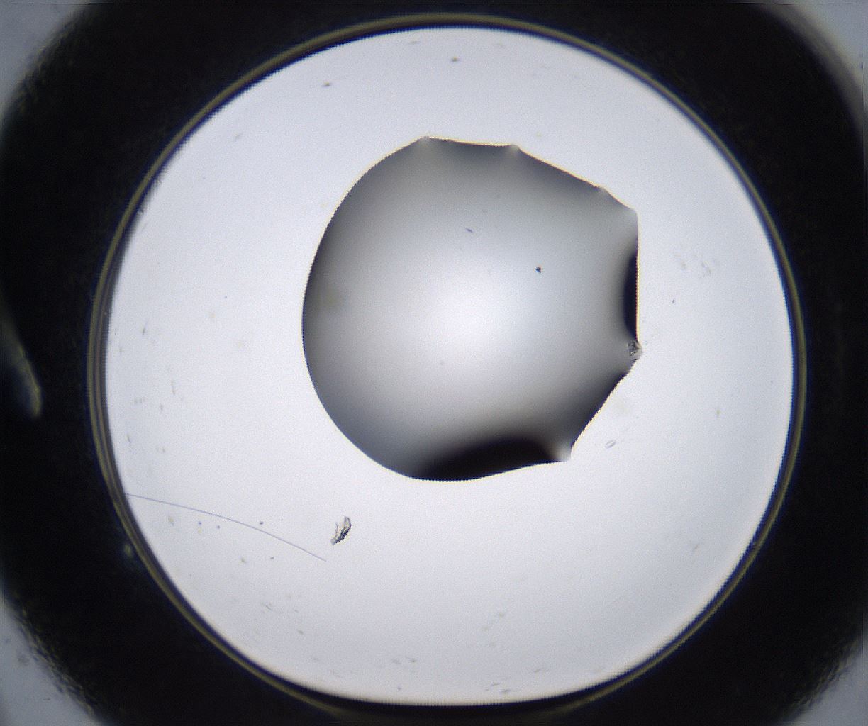 folderID267_plateID2267_batchID10355_wellNum9_profileID1_d1_r157778_ef.jpg