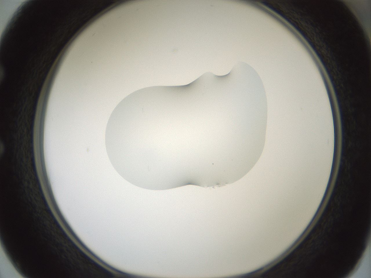 folderID268_plateID1268_batchID4194_wellNum50_profileID1_d1_r76890_ef.jpg