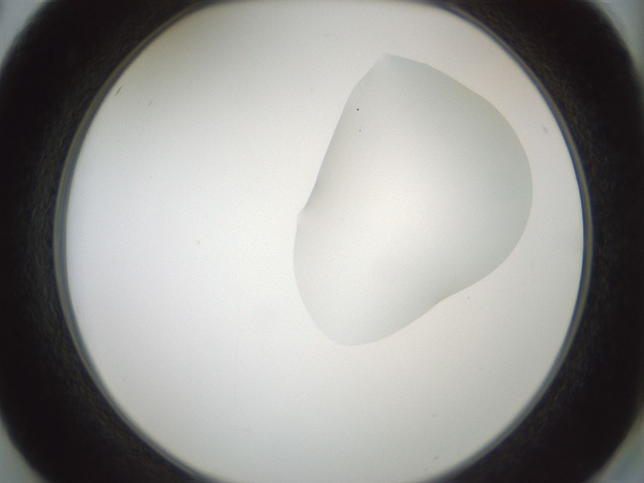 folderID268_plateID1268_batchID4194_wellNum50_profileID1_d2_r76891_ef.jpg