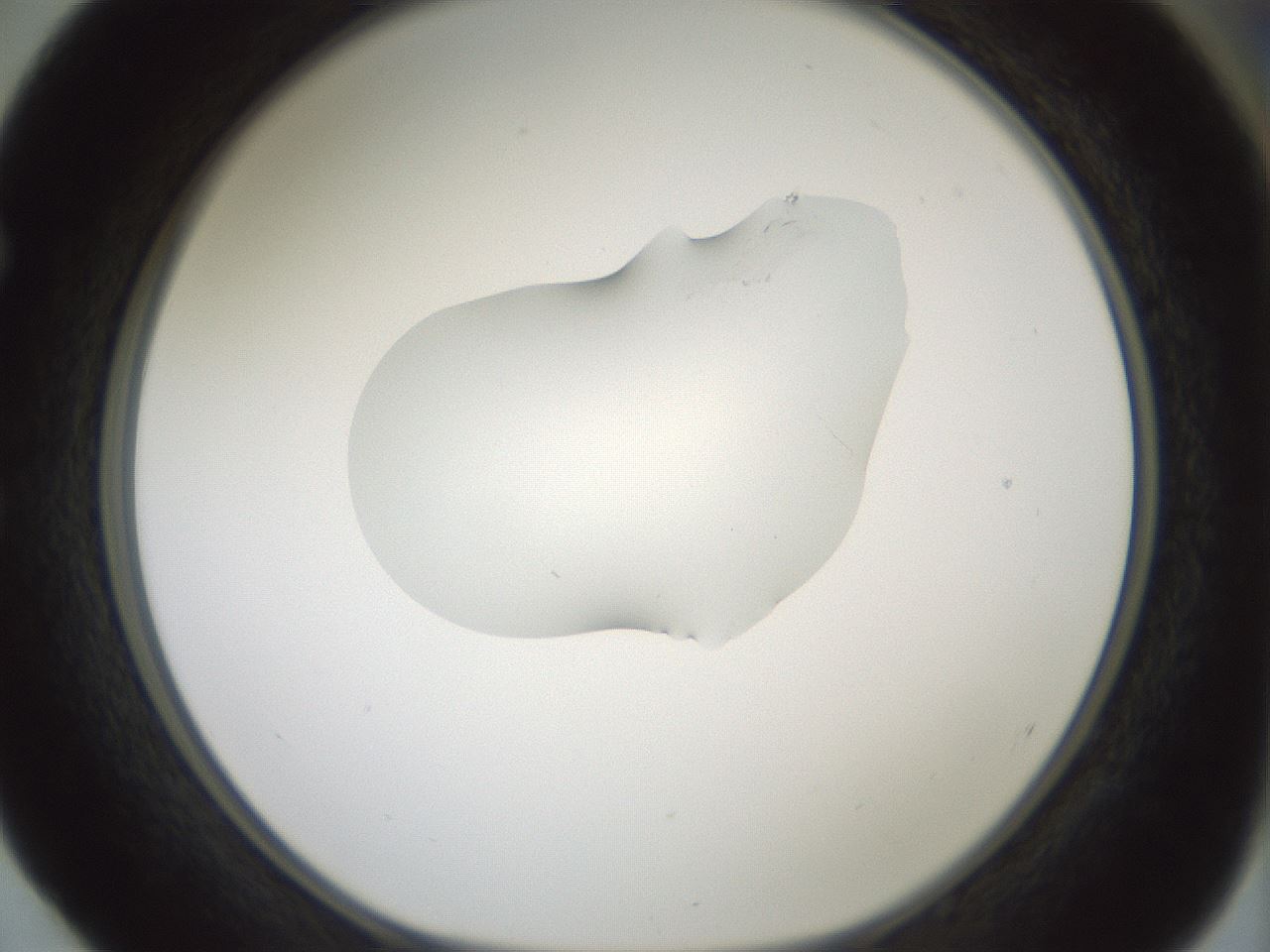 folderID268_plateID1268_batchID4194_wellNum52_profileID1_d1_r76894_ef.jpg