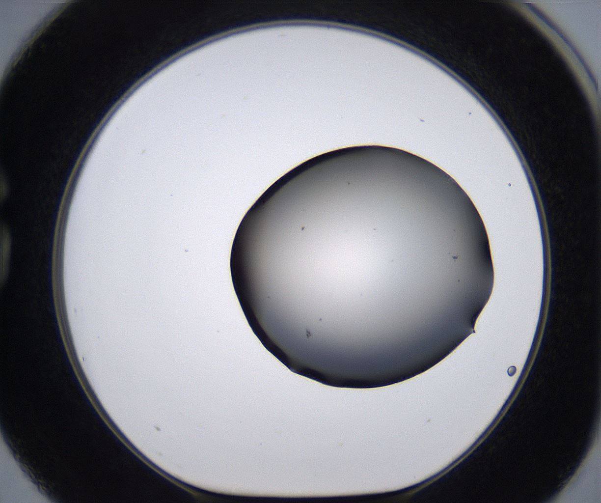 folderID267_plateID2267_batchID10355_wellNum75_profileID1_d1_r157910_ef.jpg