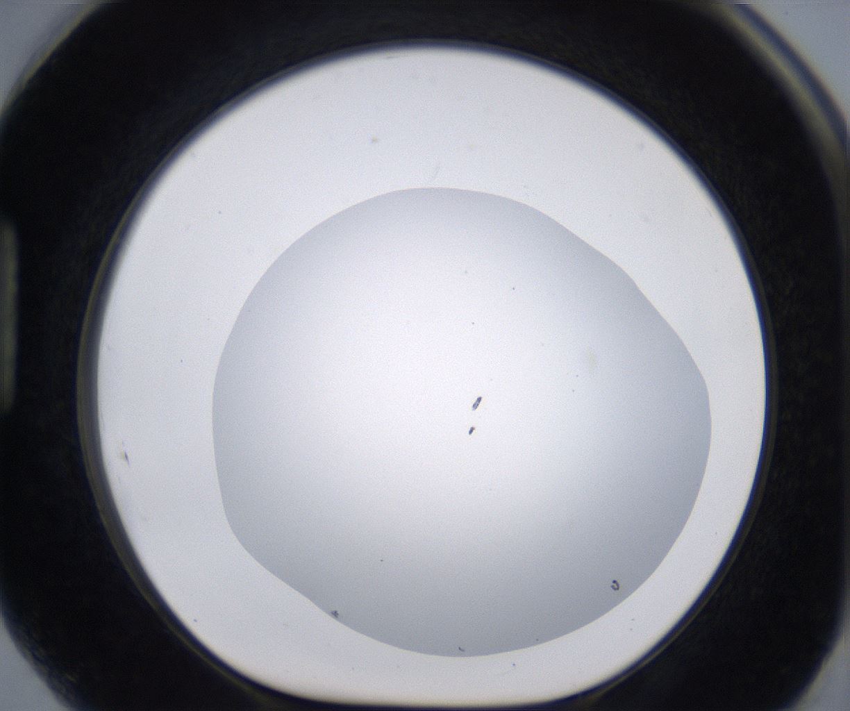 folderID267_plateID2267_batchID10355_wellNum89_profileID1_d1_r157938_ef.jpg