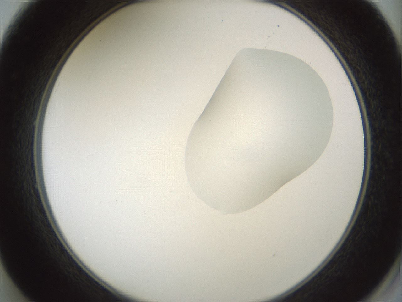 folderID268_plateID1268_batchID4194_wellNum49_profileID1_d2_r76889_ef.jpg