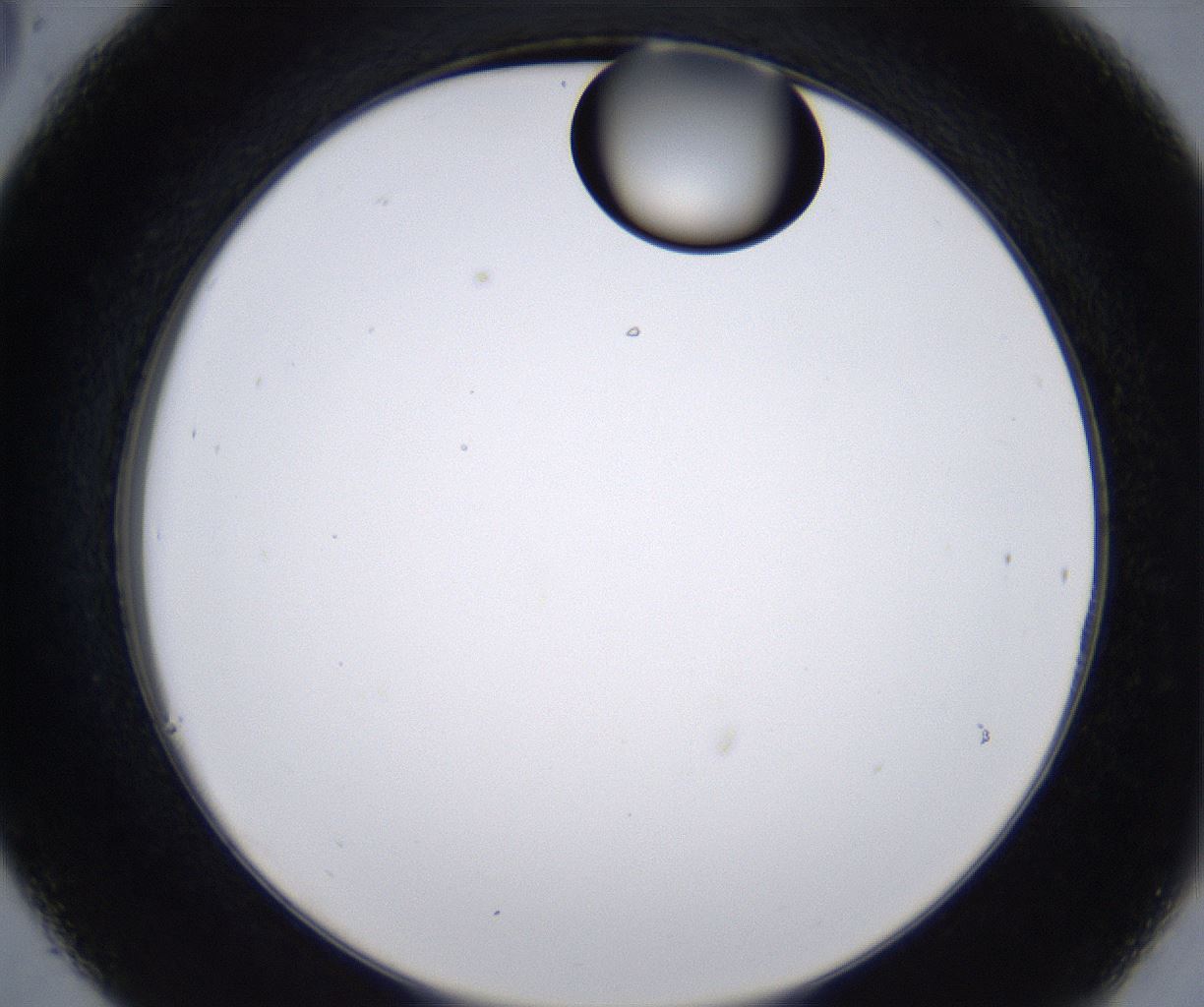 folderID268_plateID2268_batchID10353_wellNum30_profileID1_d2_r157629_ef.jpg