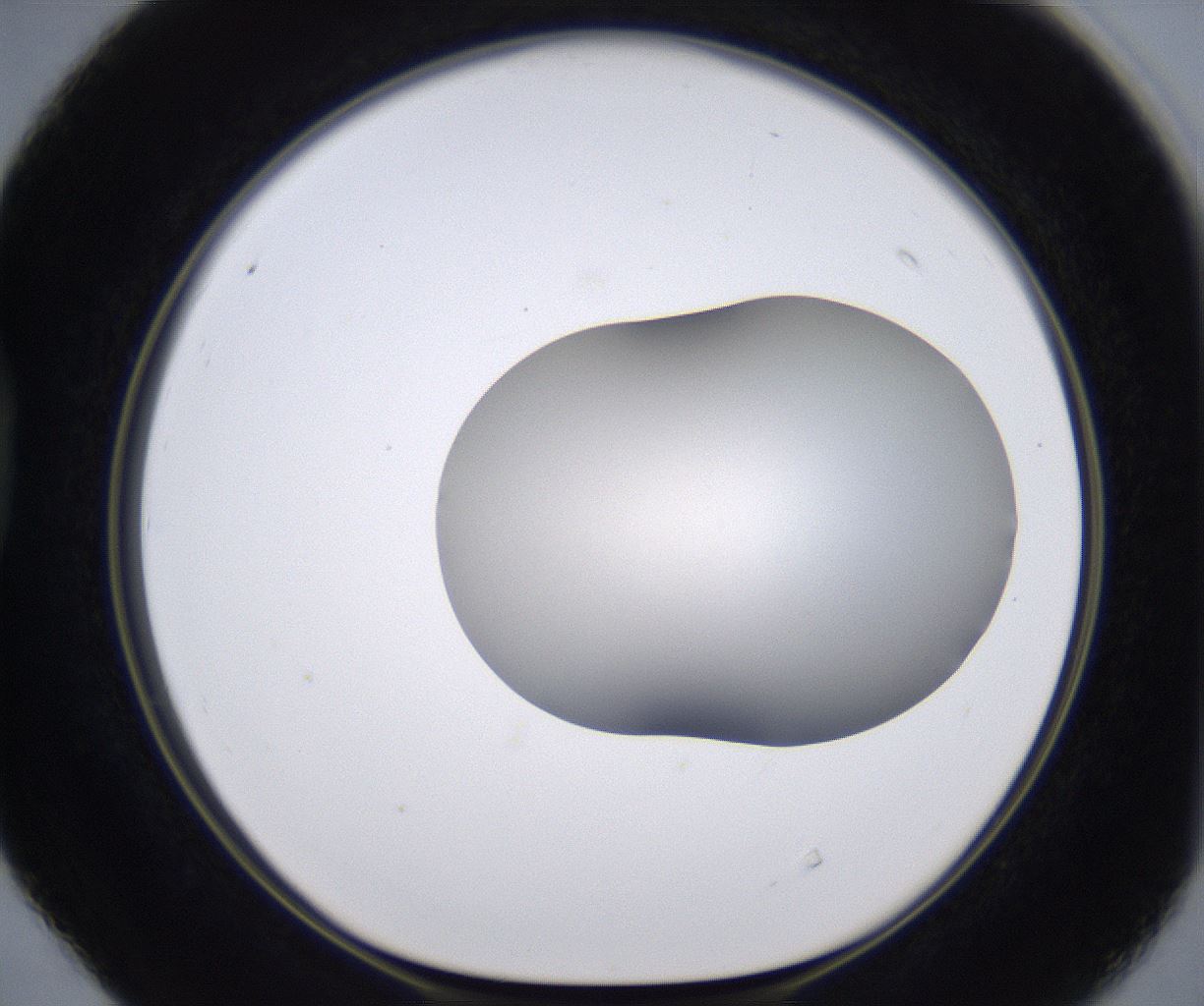 folderID268_plateID2268_batchID10353_wellNum40_profileID1_d1_r157648_ef.jpg