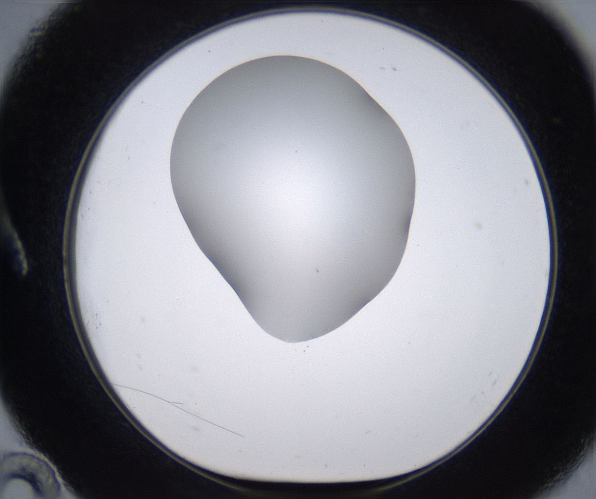folderID268_plateID2268_batchID10353_wellNum10_profileID1_d1_r157588_ef.jpg