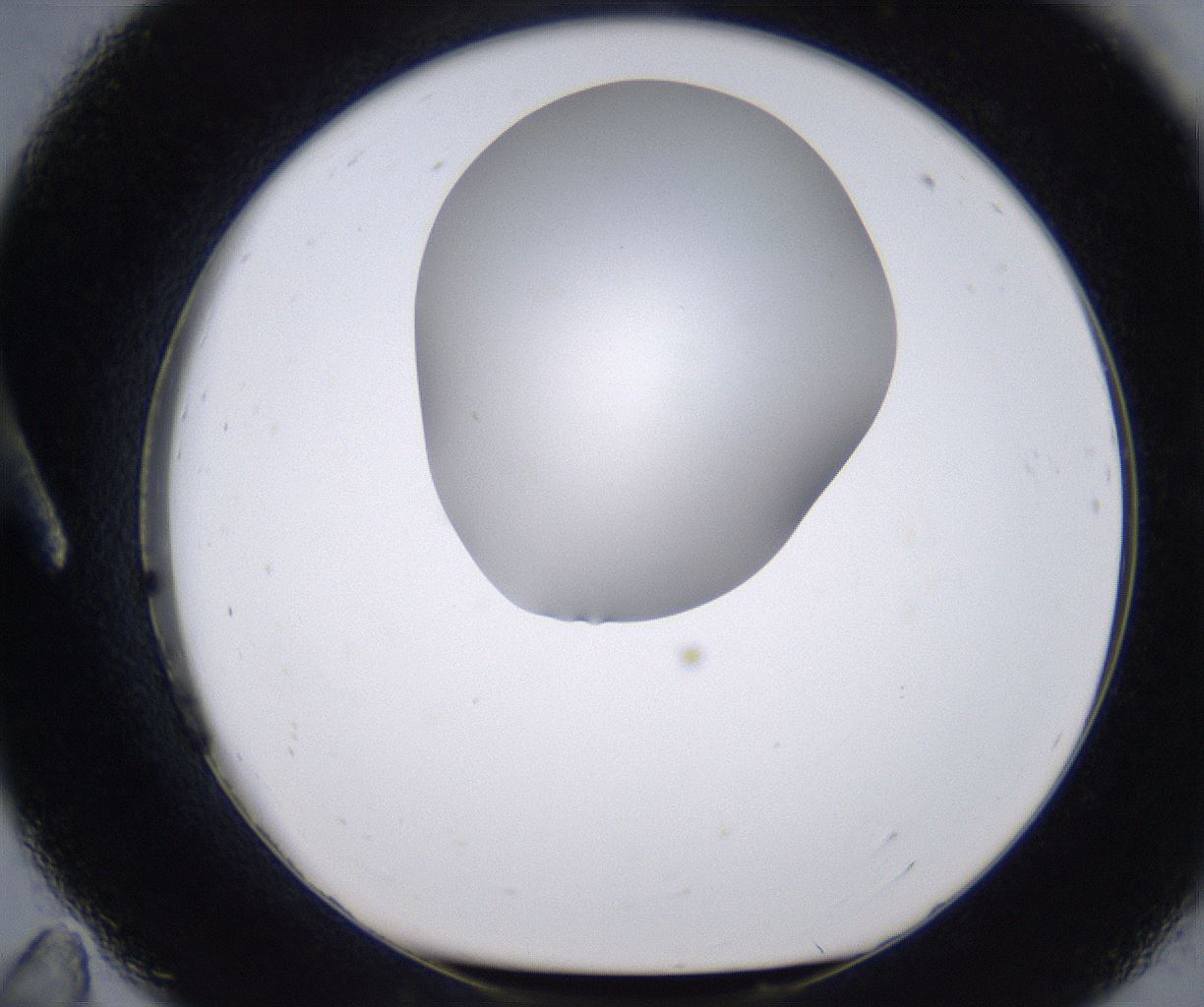 folderID268_plateID2268_batchID10353_wellNum11_profileID1_d1_r157590_ef.jpg