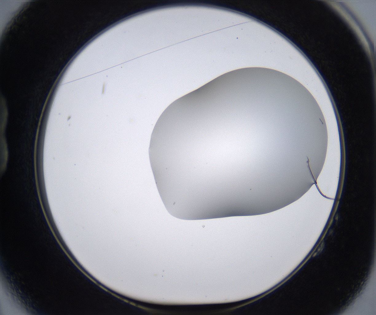 folderID268_plateID2268_batchID10353_wellNum14_profileID1_d1_r157596_ef.jpg