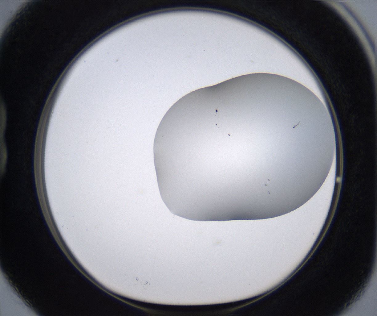folderID268_plateID2268_batchID10353_wellNum15_profileID1_d1_r157598_ef.jpg