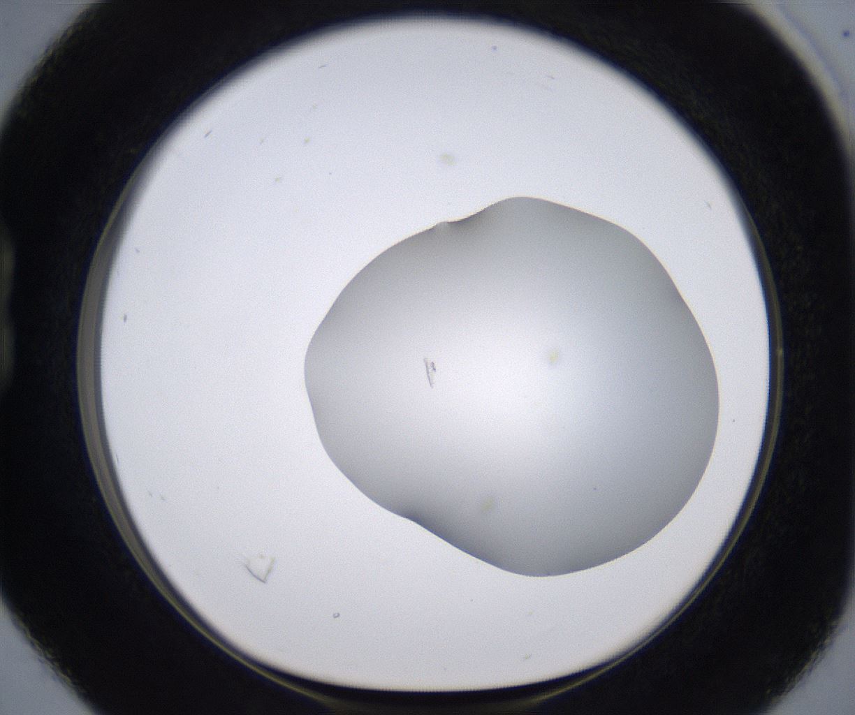 folderID268_plateID2268_batchID10353_wellNum16_profileID1_d1_r157600_ef.jpg