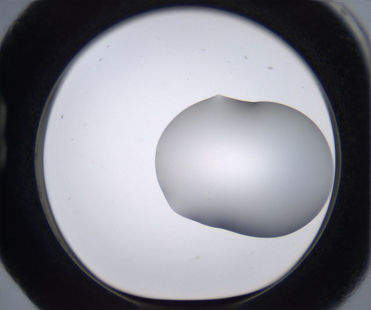folderID268_plateID2268_batchID10353_wellNum17_profileID1_d1_r157602_ef.jpg