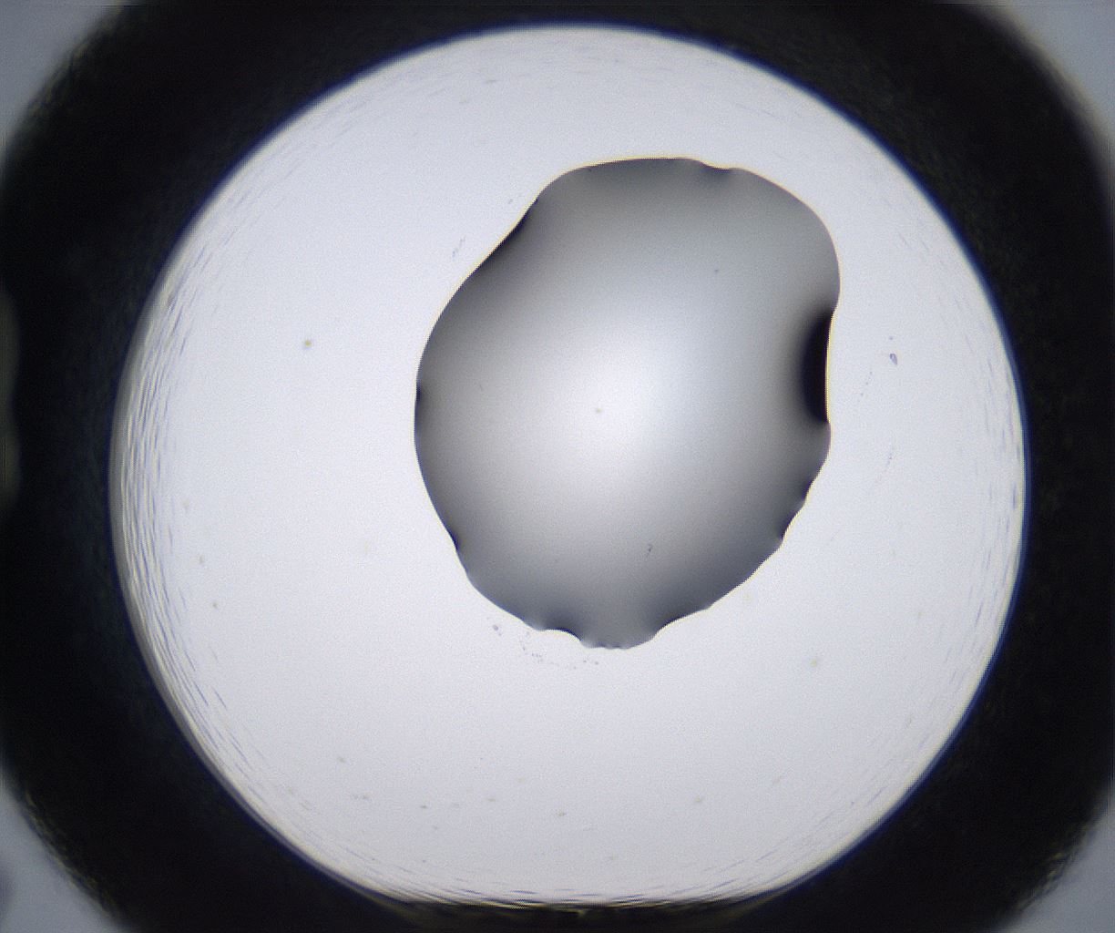 folderID268_plateID2268_batchID10353_wellNum19_profileID1_d1_r157606_ef.jpg