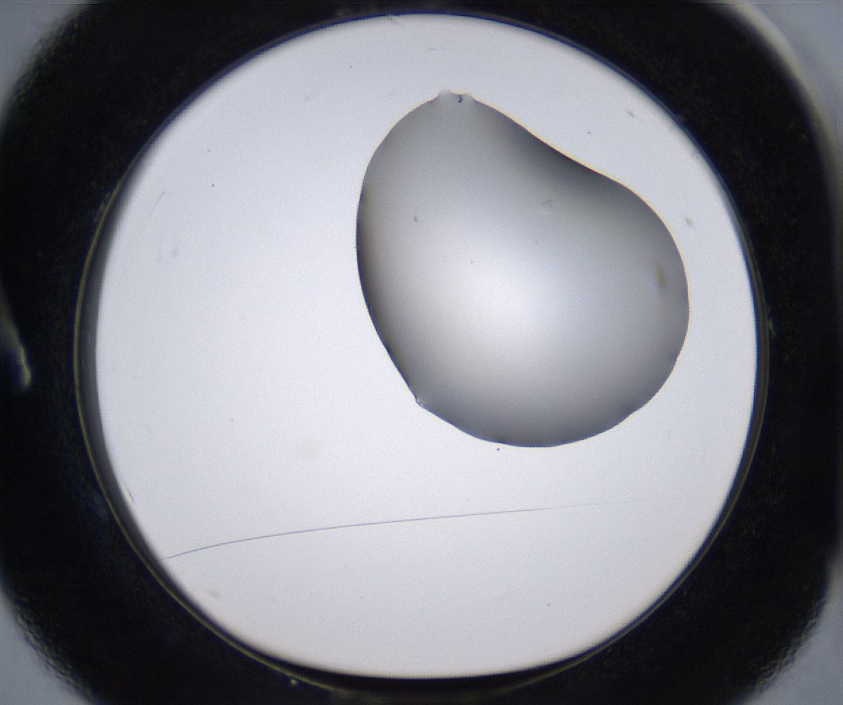 folderID268_plateID2268_batchID10353_wellNum1_profileID1_d1_r157570_ef.jpg