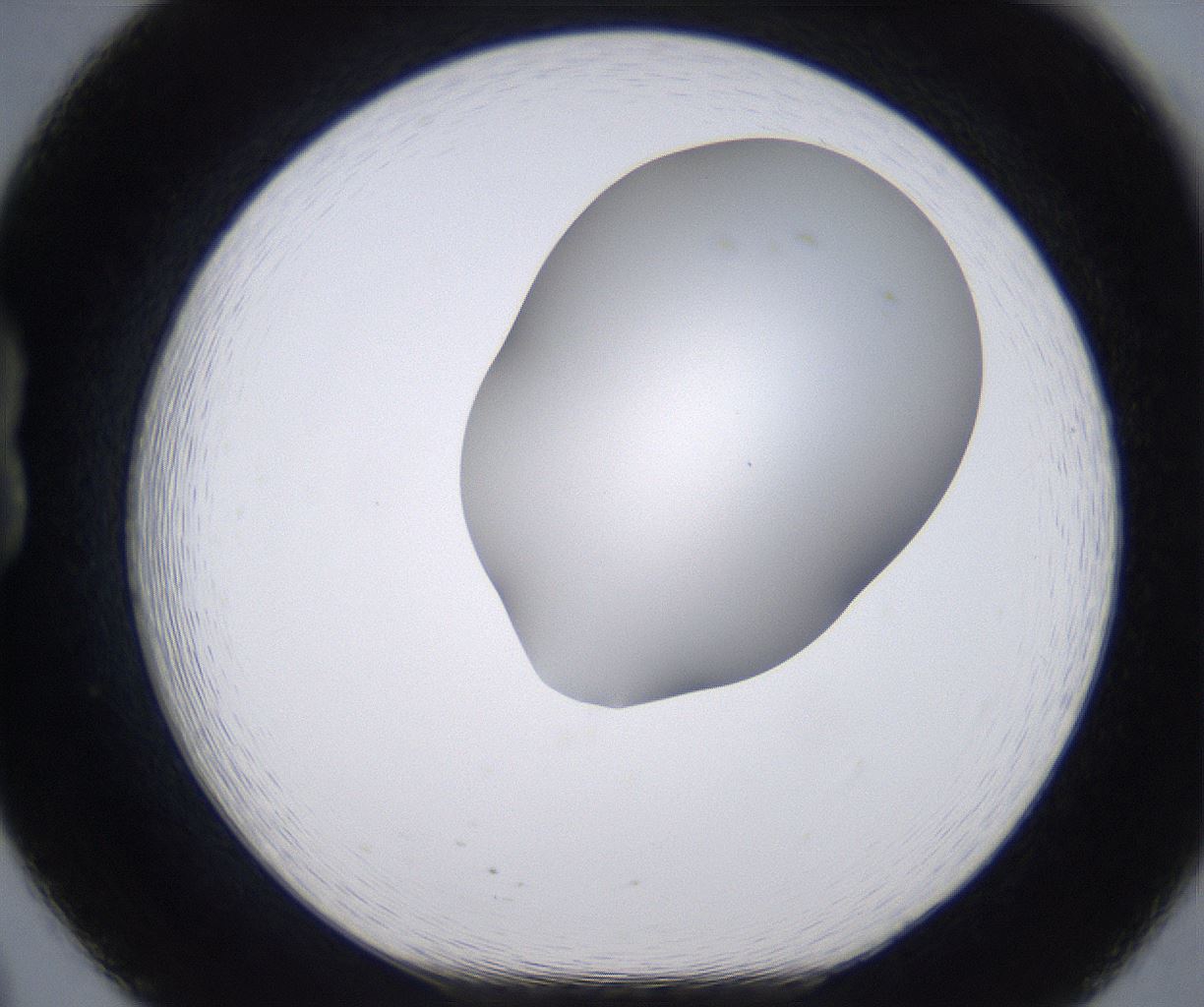 folderID268_plateID2268_batchID10353_wellNum20_profileID1_d1_r157608_ef.jpg