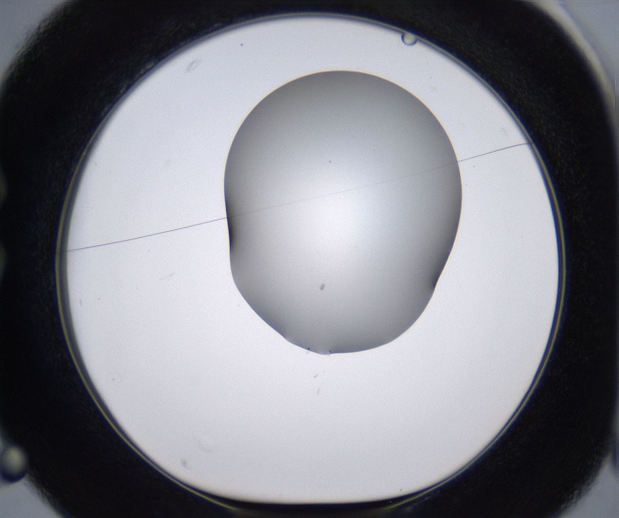 folderID268_plateID2268_batchID10353_wellNum25_profileID1_d1_r157618_ef.jpg