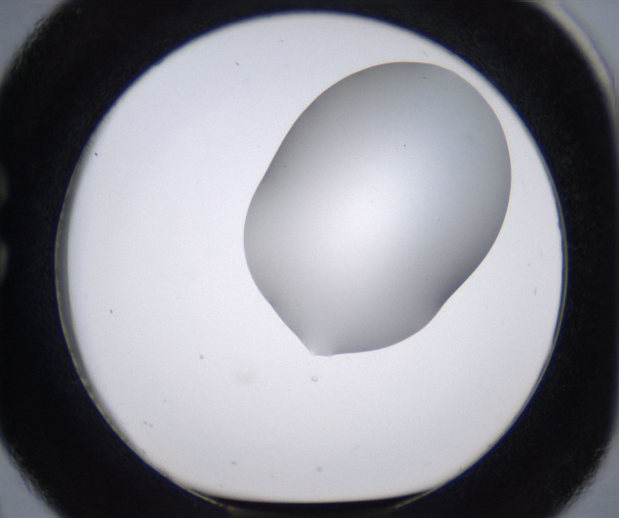folderID268_plateID2268_batchID10353_wellNum26_profileID1_d1_r157620_ef.jpg