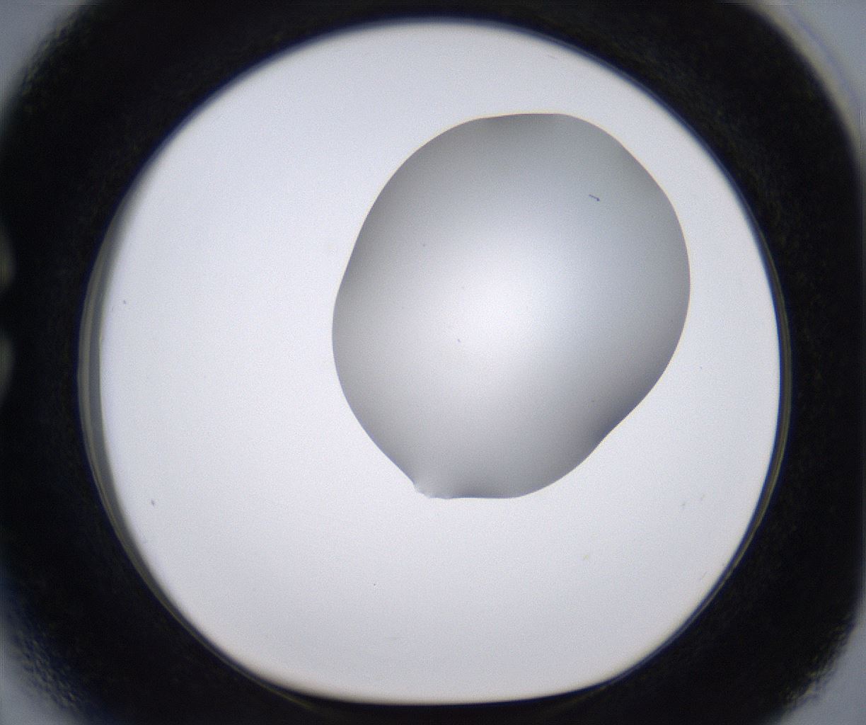 folderID268_plateID2268_batchID10353_wellNum27_profileID1_d1_r157622_ef.jpg