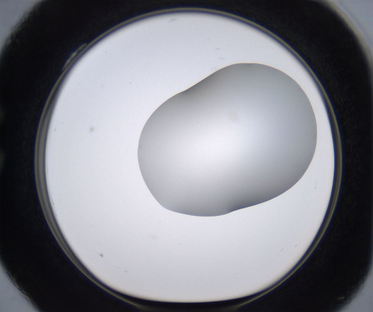 folderID268_plateID2268_batchID10353_wellNum28_profileID1_d1_r157624_ef.jpg