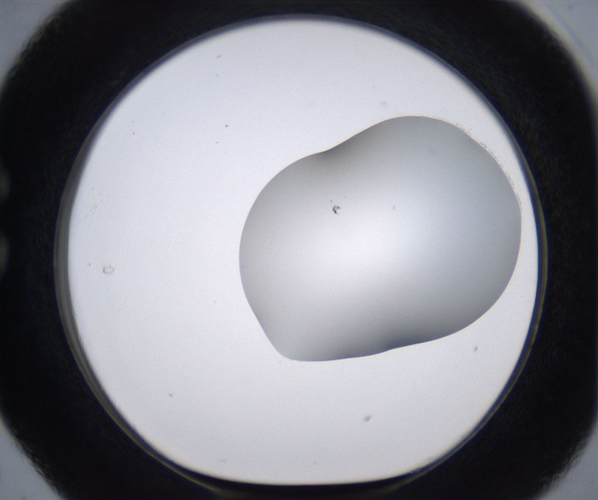 folderID268_plateID2268_batchID10353_wellNum29_profileID1_d1_r157626_ef.jpg