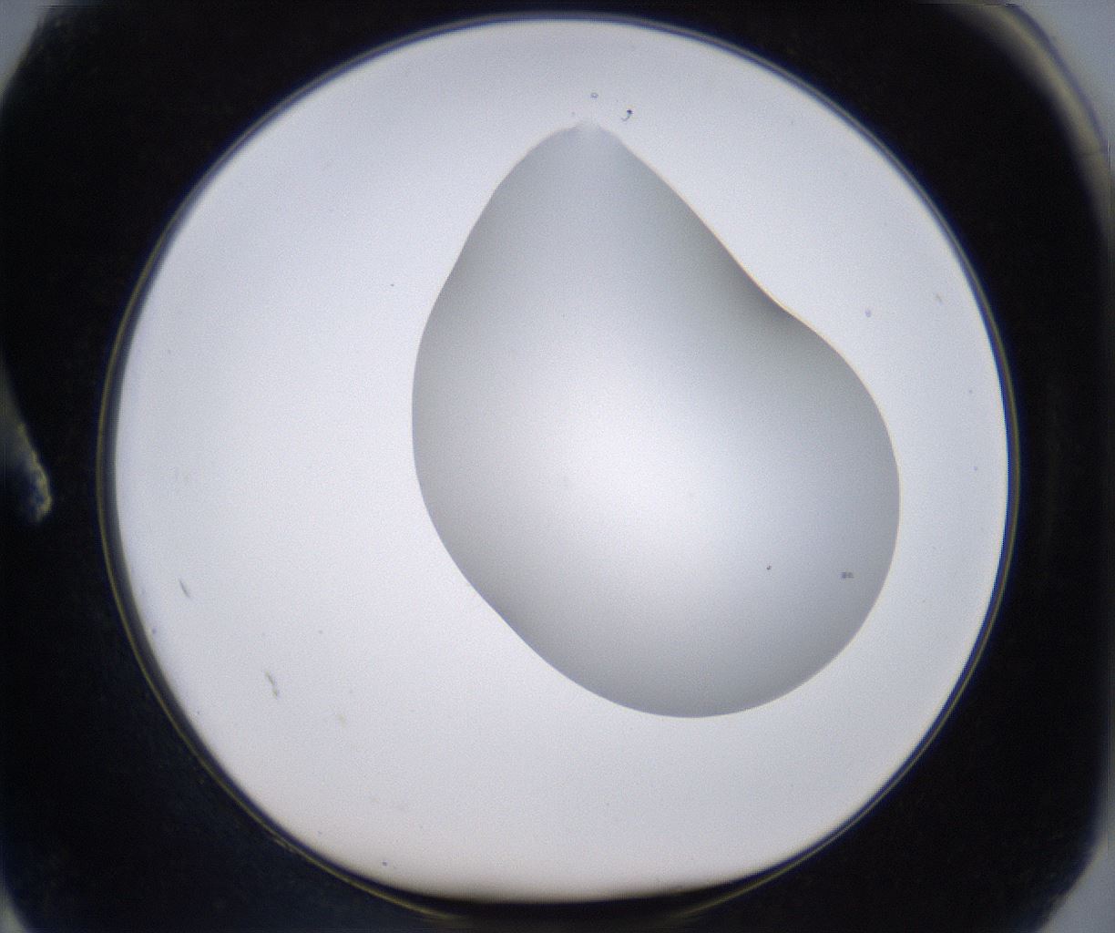 folderID268_plateID2268_batchID10353_wellNum2_profileID1_d1_r157572_ef.jpg