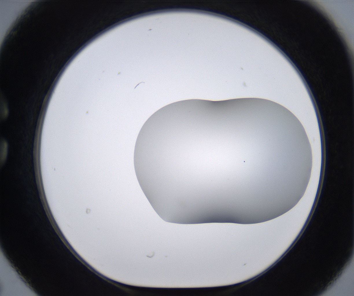 folderID268_plateID2268_batchID10353_wellNum30_profileID1_d1_r157628_ef.jpg