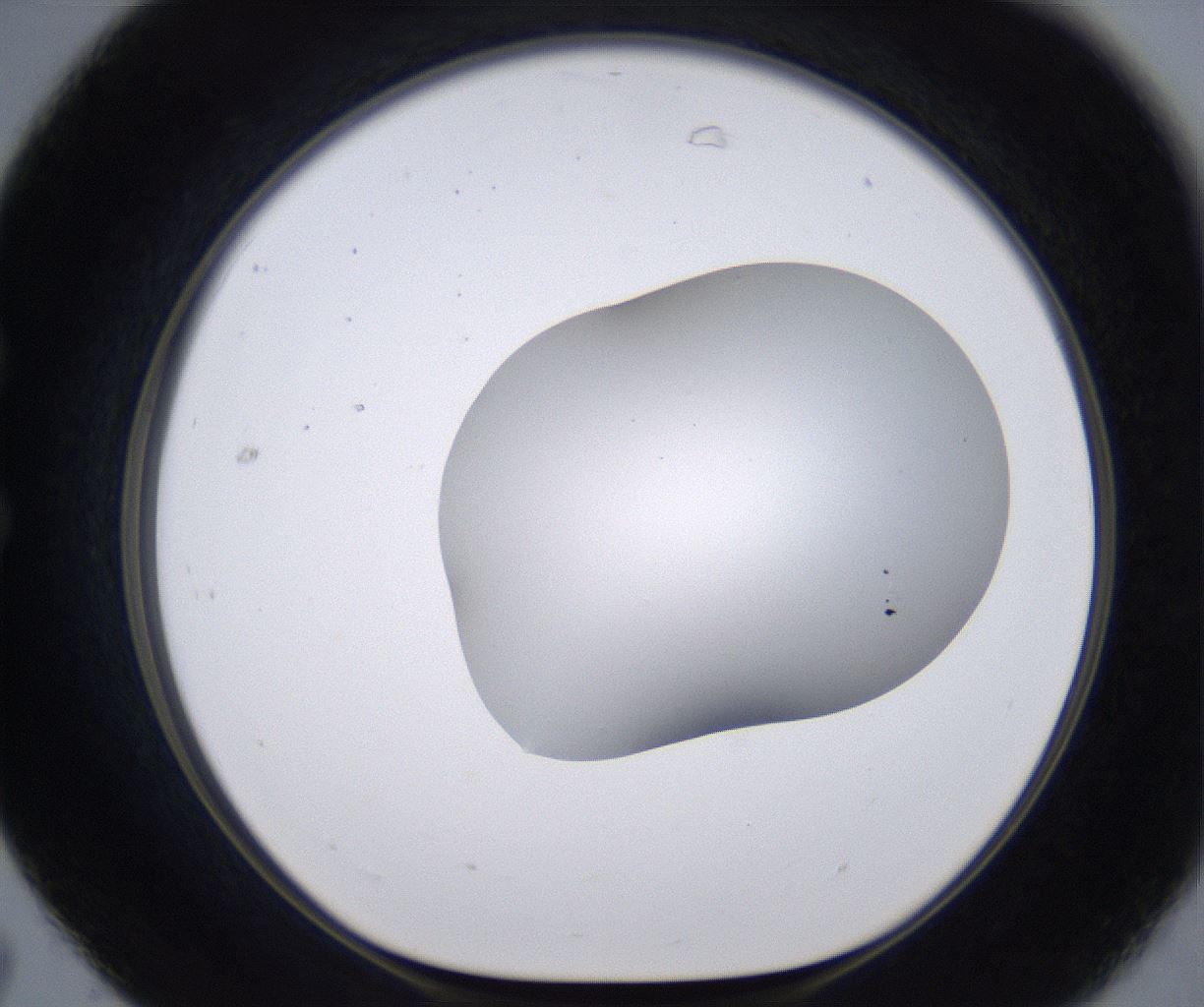 folderID268_plateID2268_batchID10353_wellNum31_profileID1_d1_r157630_ef.jpg