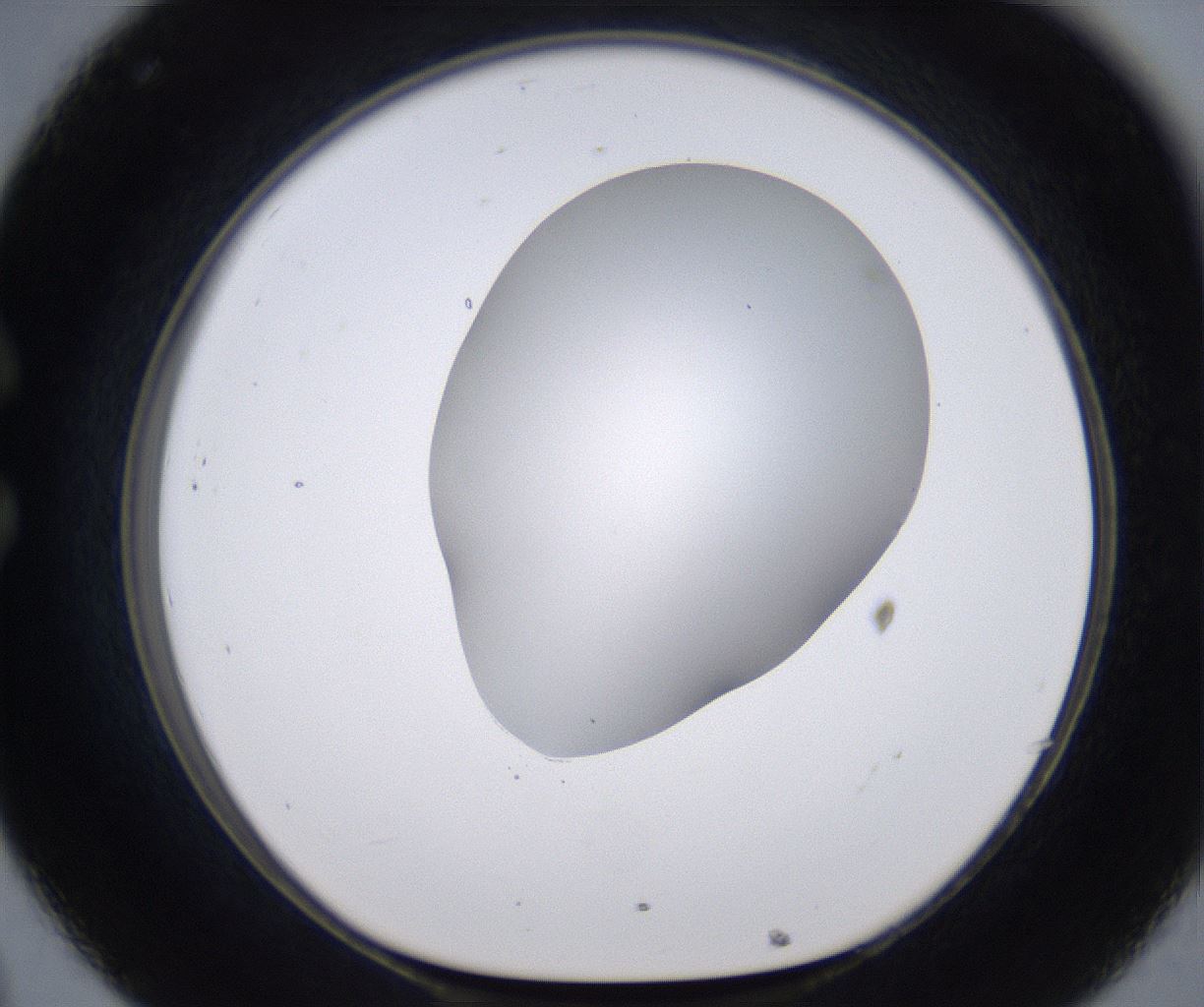 folderID268_plateID2268_batchID10353_wellNum32_profileID1_d1_r157632_ef.jpg