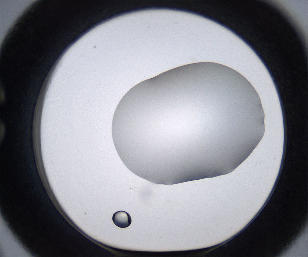 folderID268_plateID2268_batchID10353_wellNum33_profileID1_d1_r157634_ef.jpg