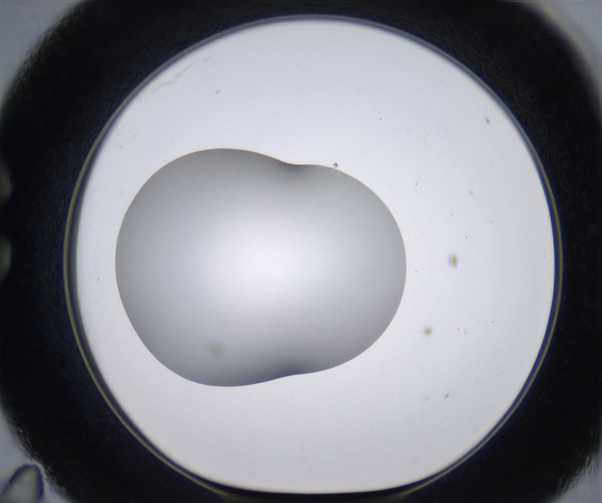 folderID268_plateID2268_batchID10353_wellNum35_profileID1_d1_r157638_ef.jpg