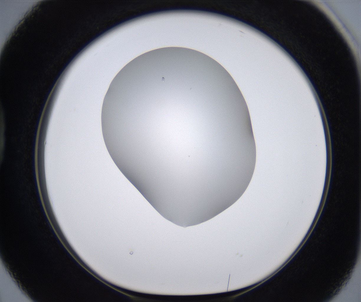 folderID268_plateID2268_batchID10353_wellNum38_profileID1_d1_r157644_ef.jpg