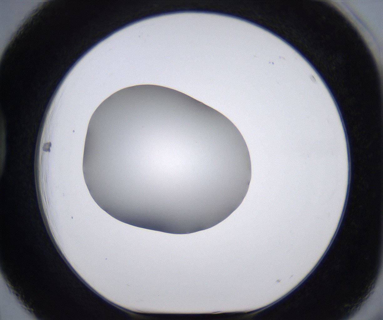 folderID268_plateID2268_batchID10353_wellNum39_profileID1_d1_r157646_ef.jpg