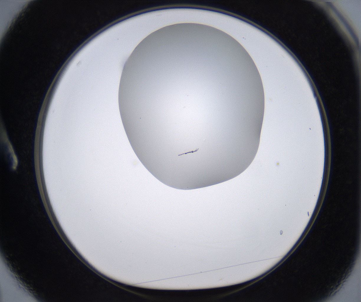 folderID268_plateID2268_batchID10353_wellNum3_profileID1_d1_r157574_ef.jpg