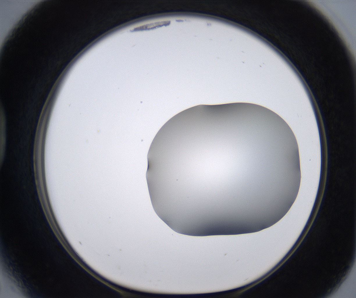 folderID268_plateID2268_batchID10353_wellNum41_profileID1_d1_r157650_ef.jpg