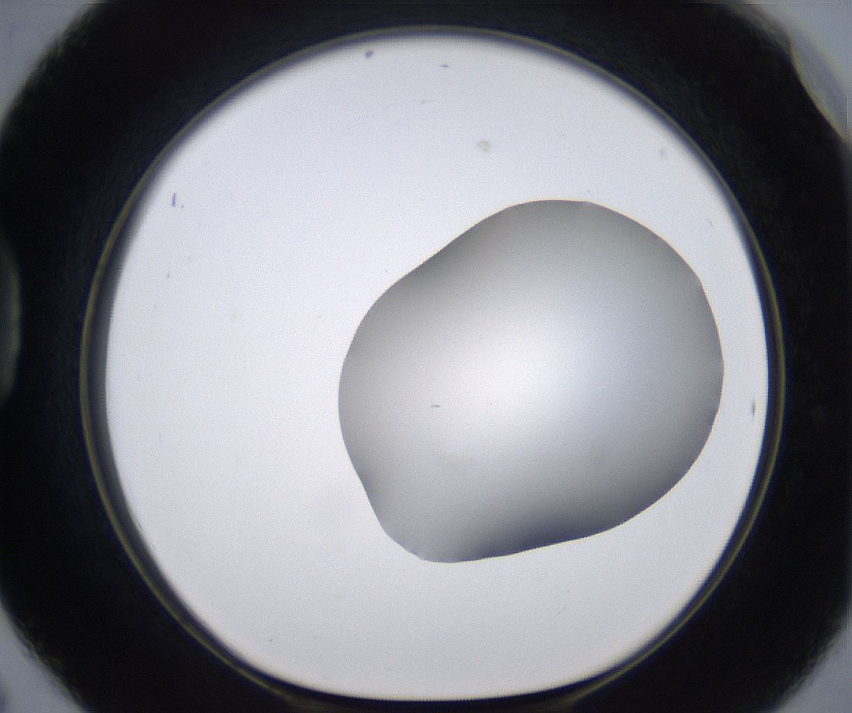 folderID268_plateID2268_batchID10353_wellNum42_profileID1_d1_r157652_ef.jpg
