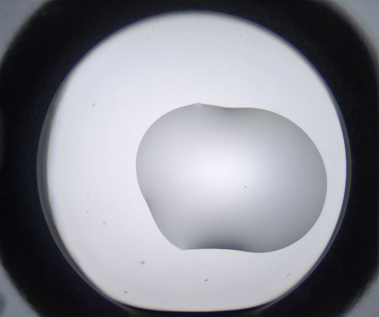 folderID268_plateID2268_batchID10353_wellNum43_profileID1_d1_r157654_ef.jpg