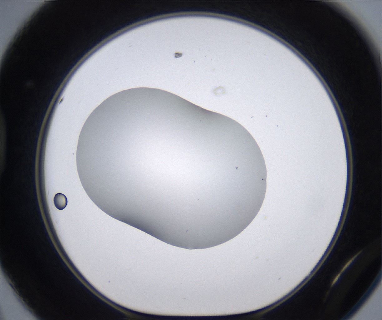 folderID268_plateID2268_batchID10353_wellNum44_profileID1_d1_r157656_ef.jpg
