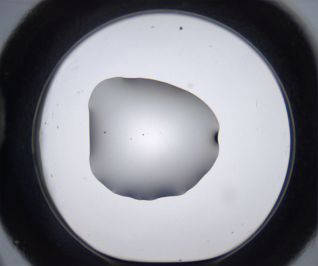 folderID268_plateID2268_batchID10353_wellNum45_profileID1_d1_r157658_ef.jpg