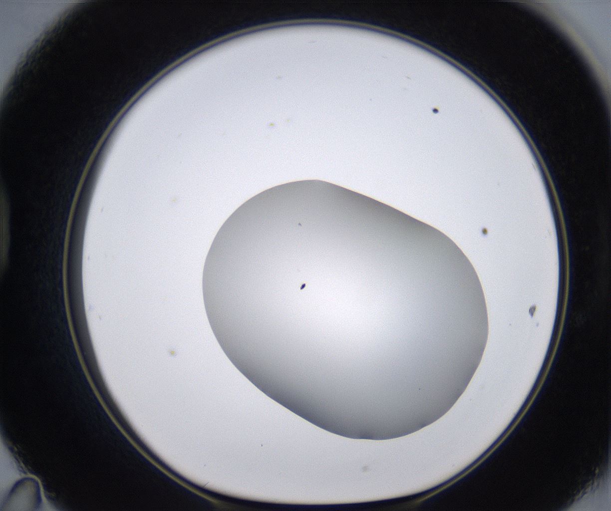 folderID268_plateID2268_batchID10353_wellNum47_profileID1_d1_r157662_ef.jpg