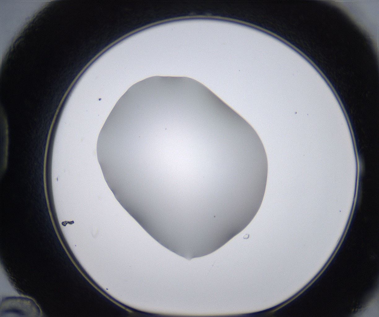folderID268_plateID2268_batchID10353_wellNum48_profileID1_d1_r157664_ef.jpg