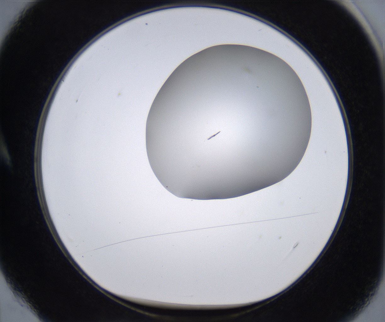 folderID268_plateID2268_batchID10353_wellNum4_profileID1_d1_r157576_ef.jpg