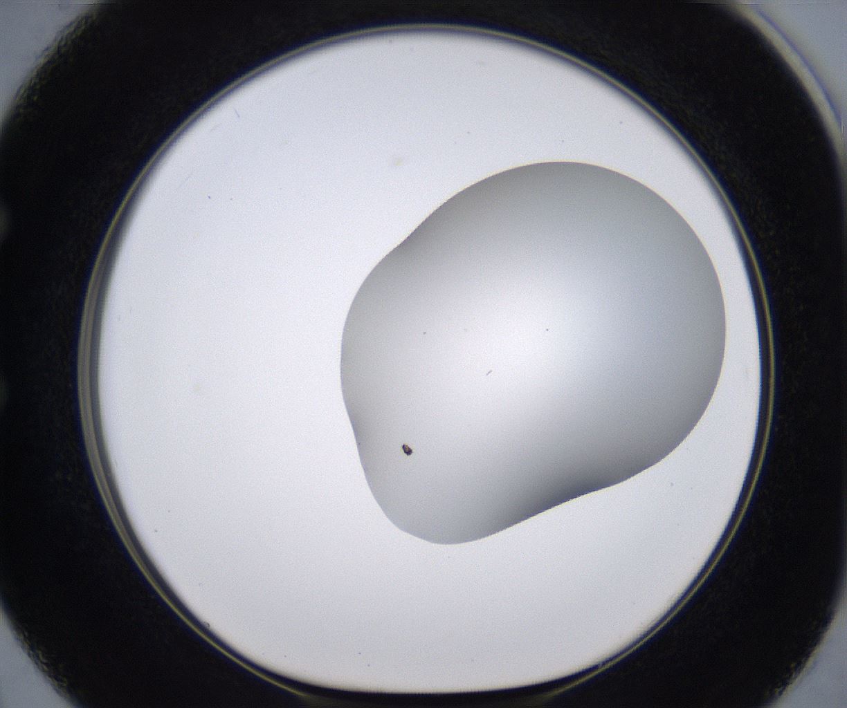folderID268_plateID2268_batchID10353_wellNum50_profileID1_d1_r157668_ef.jpg