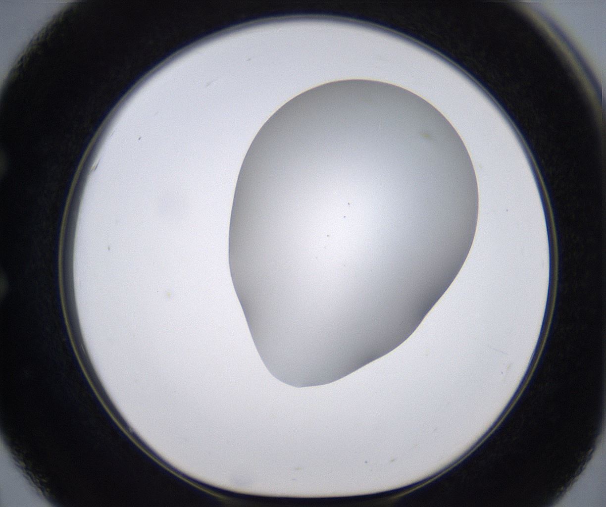 folderID268_plateID2268_batchID10353_wellNum51_profileID1_d1_r157670_ef.jpg