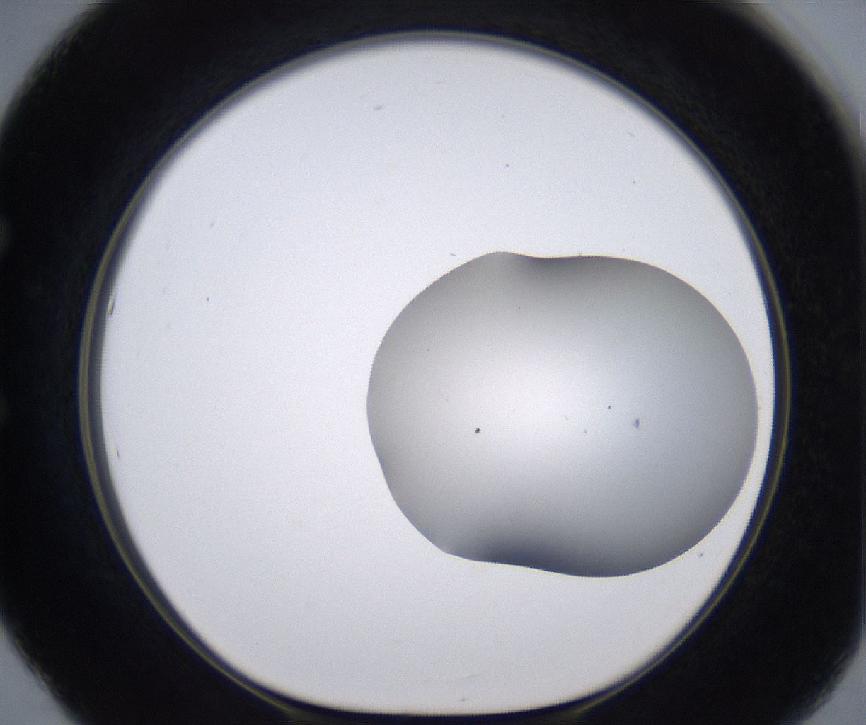 folderID268_plateID2268_batchID10353_wellNum53_profileID1_d1_r157674_ef.jpg