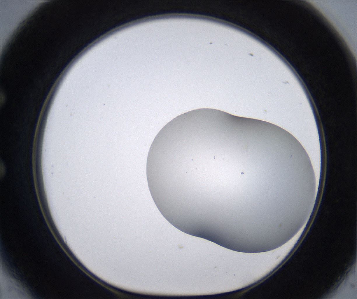 folderID268_plateID2268_batchID10353_wellNum54_profileID1_d1_r157676_ef.jpg