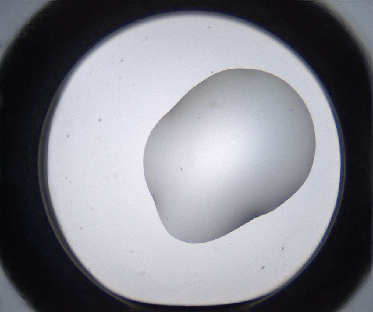 folderID268_plateID2268_batchID10353_wellNum55_profileID1_d1_r157678_ef.jpg