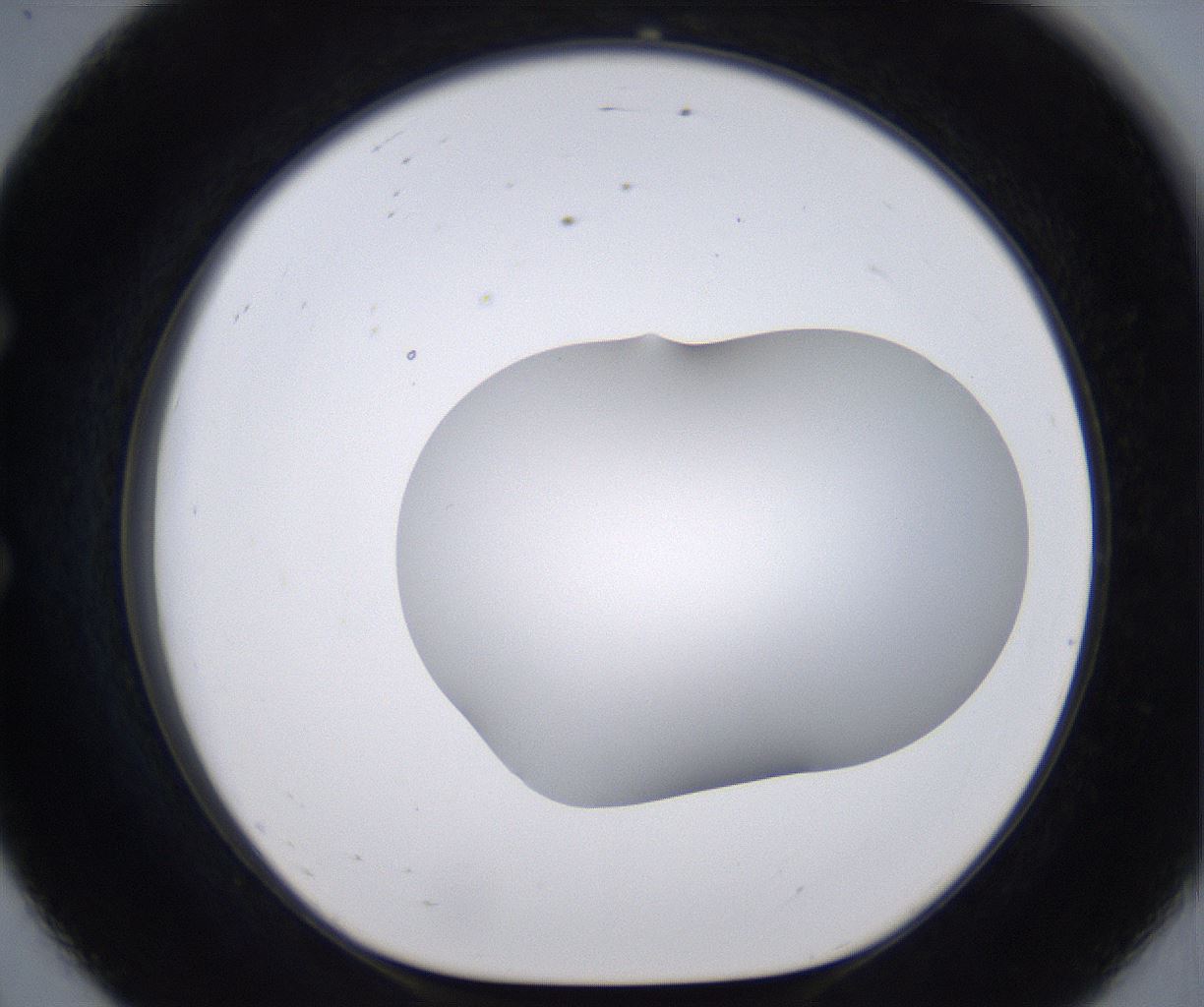 folderID268_plateID2268_batchID10353_wellNum56_profileID1_d1_r157680_ef.jpg